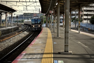 blue and white train on train station during daytime