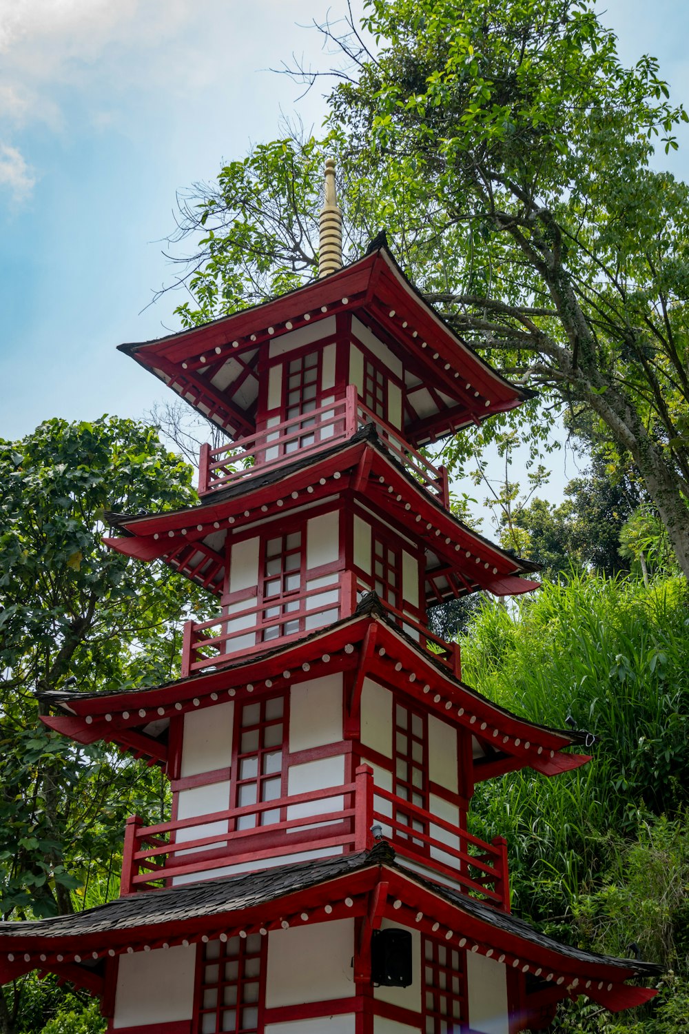 red and white wooden house near green trees during daytime