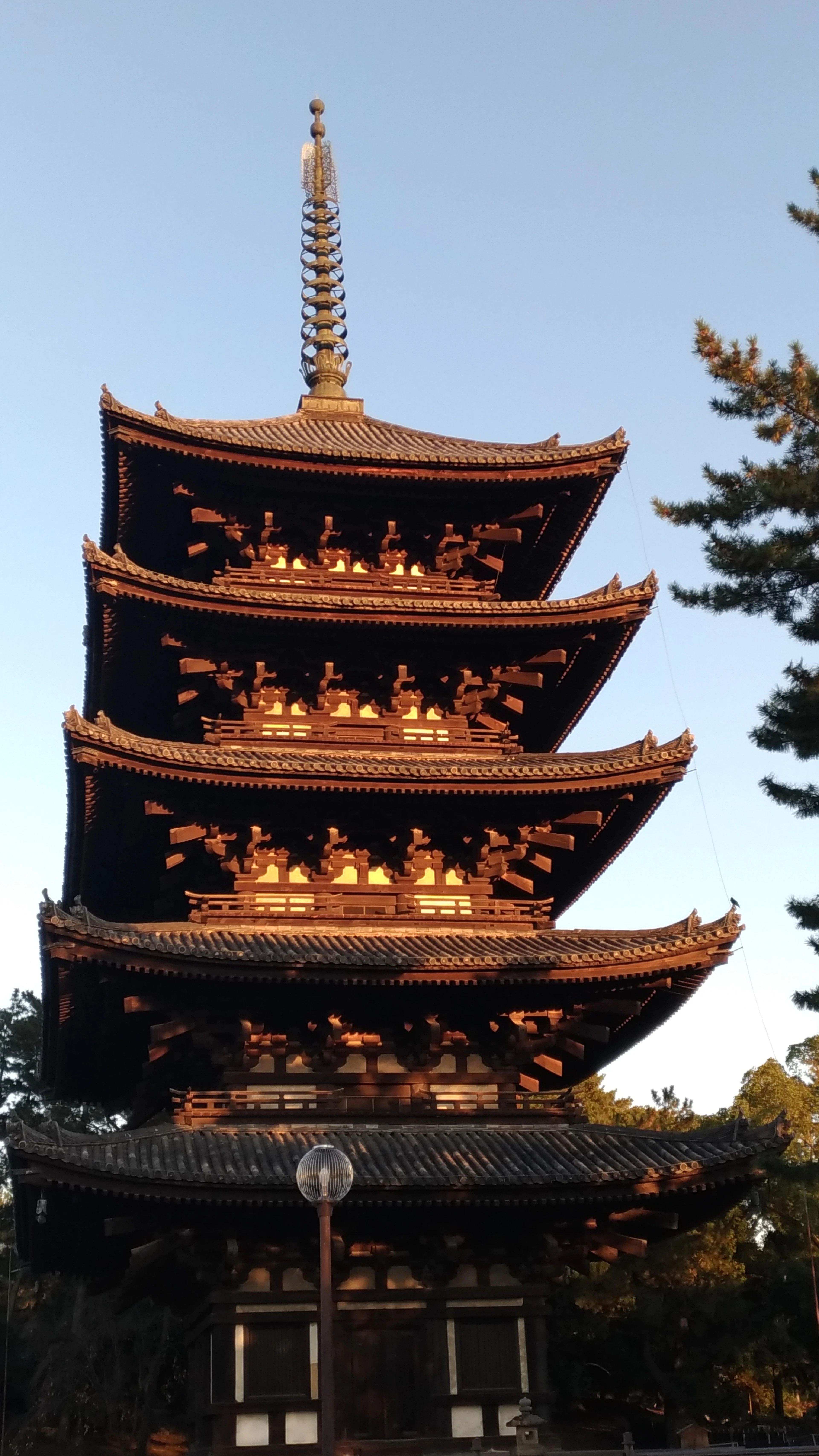 The upper tiers of Nara's five-storey wooden pagoda at Kofuku-ji lit warm by late sun, its stacked bracket sets and gilded finial standing against a pale blue sky.