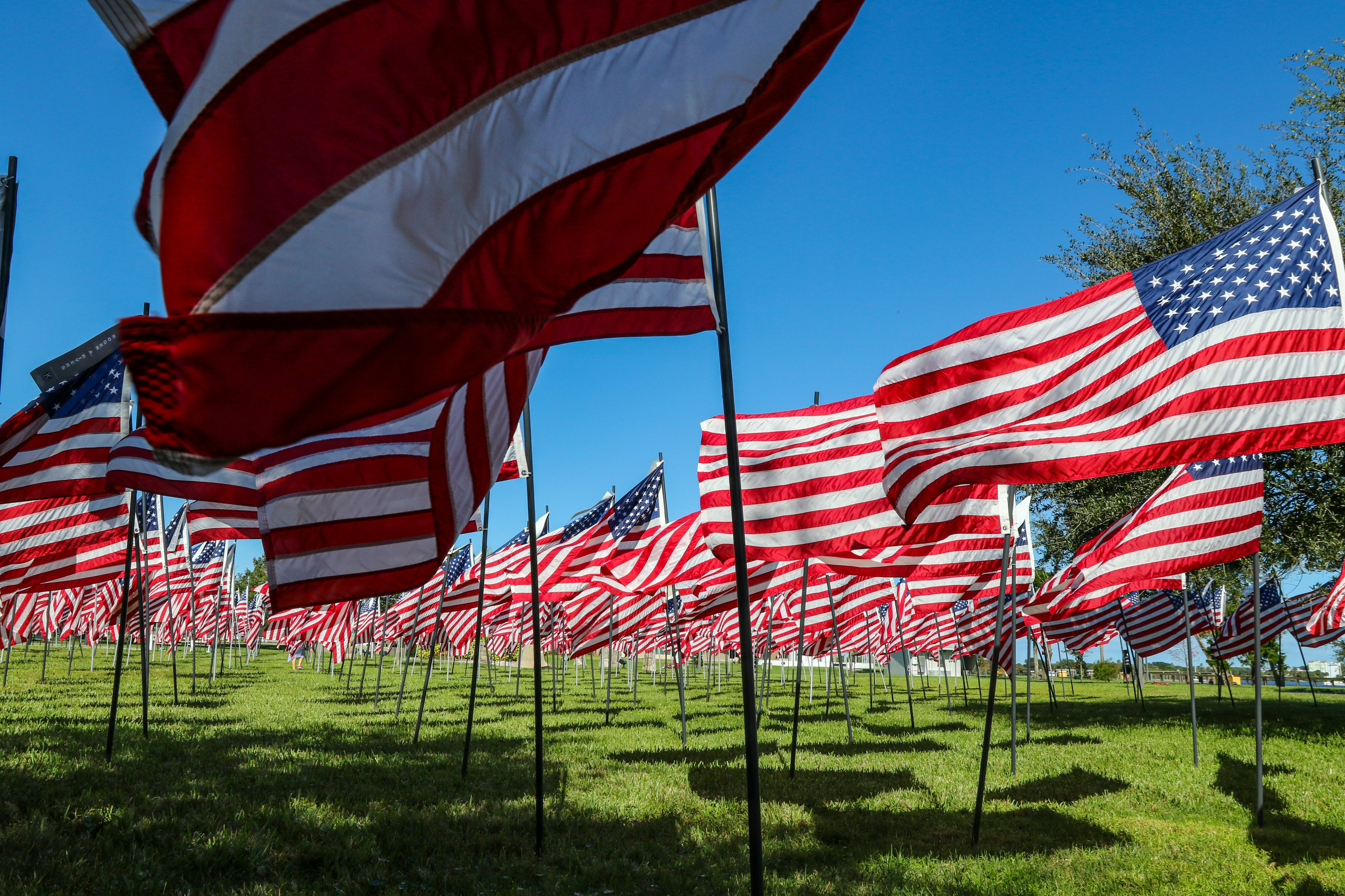 us a flags on green grass field during daytime