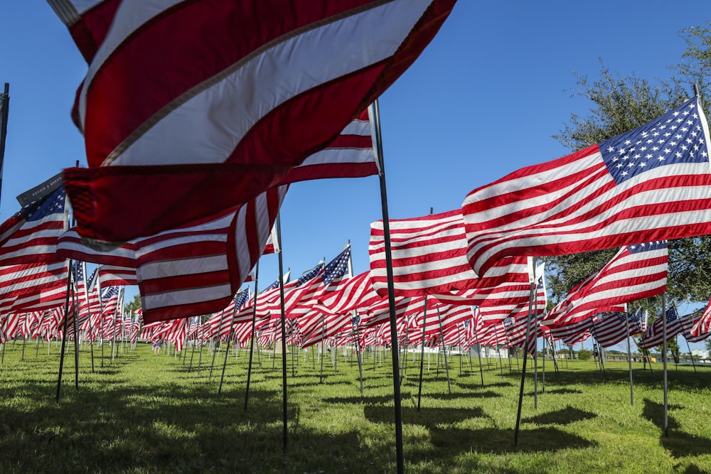 us a flags on green grass field during daytime