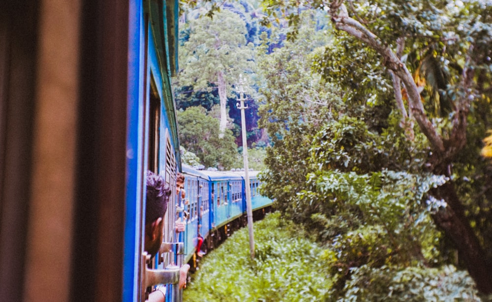 blue train in the middle of the forest during daytime