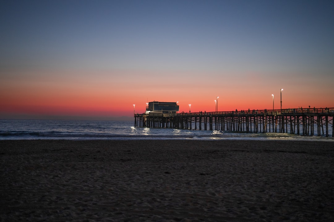 silhouette of people on beach during sunset