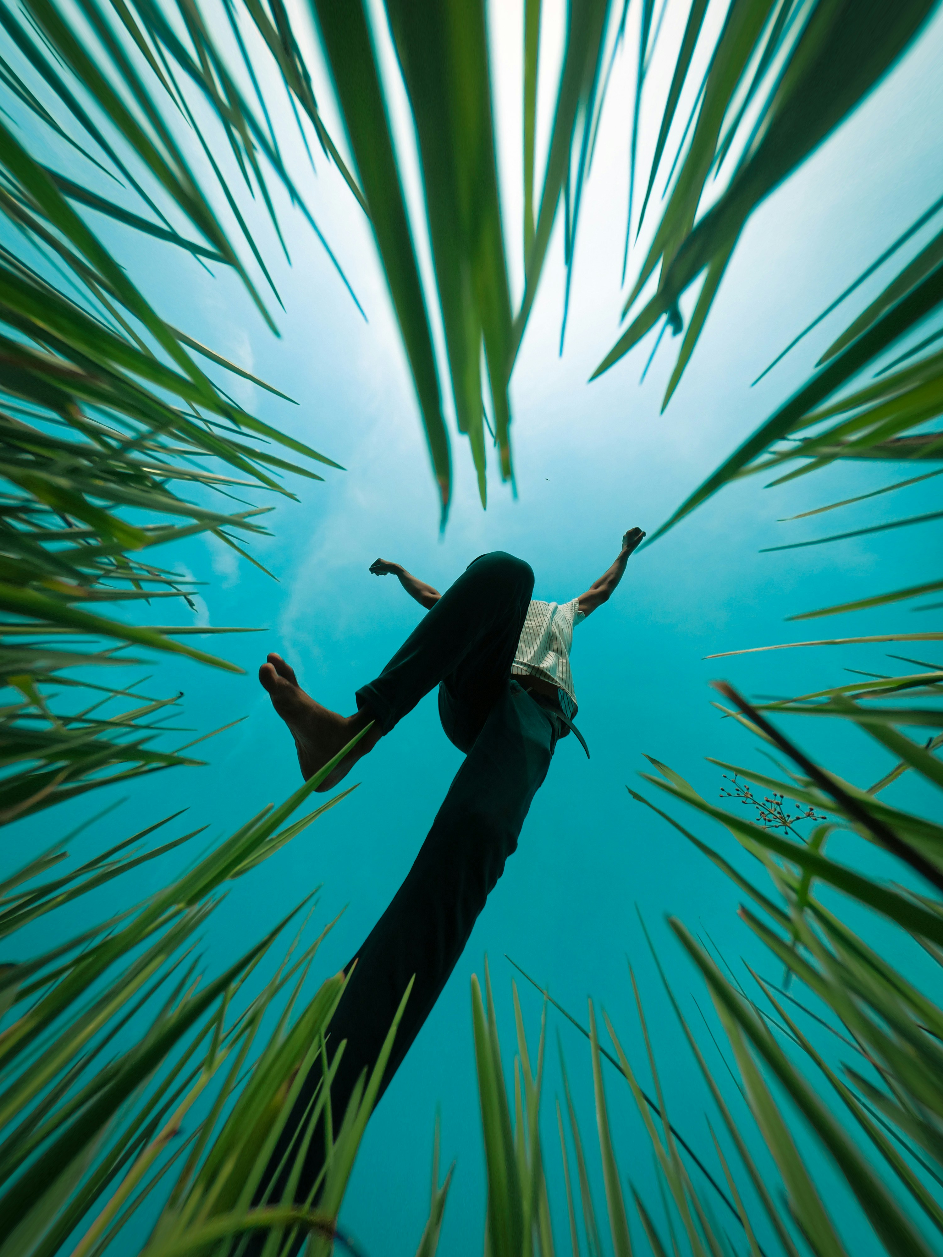 camper, adventure, freedom, travel, nature