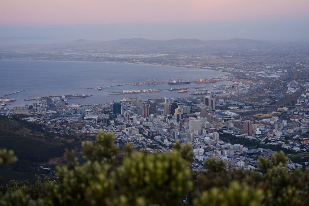 aerial view of city buildings during daytime