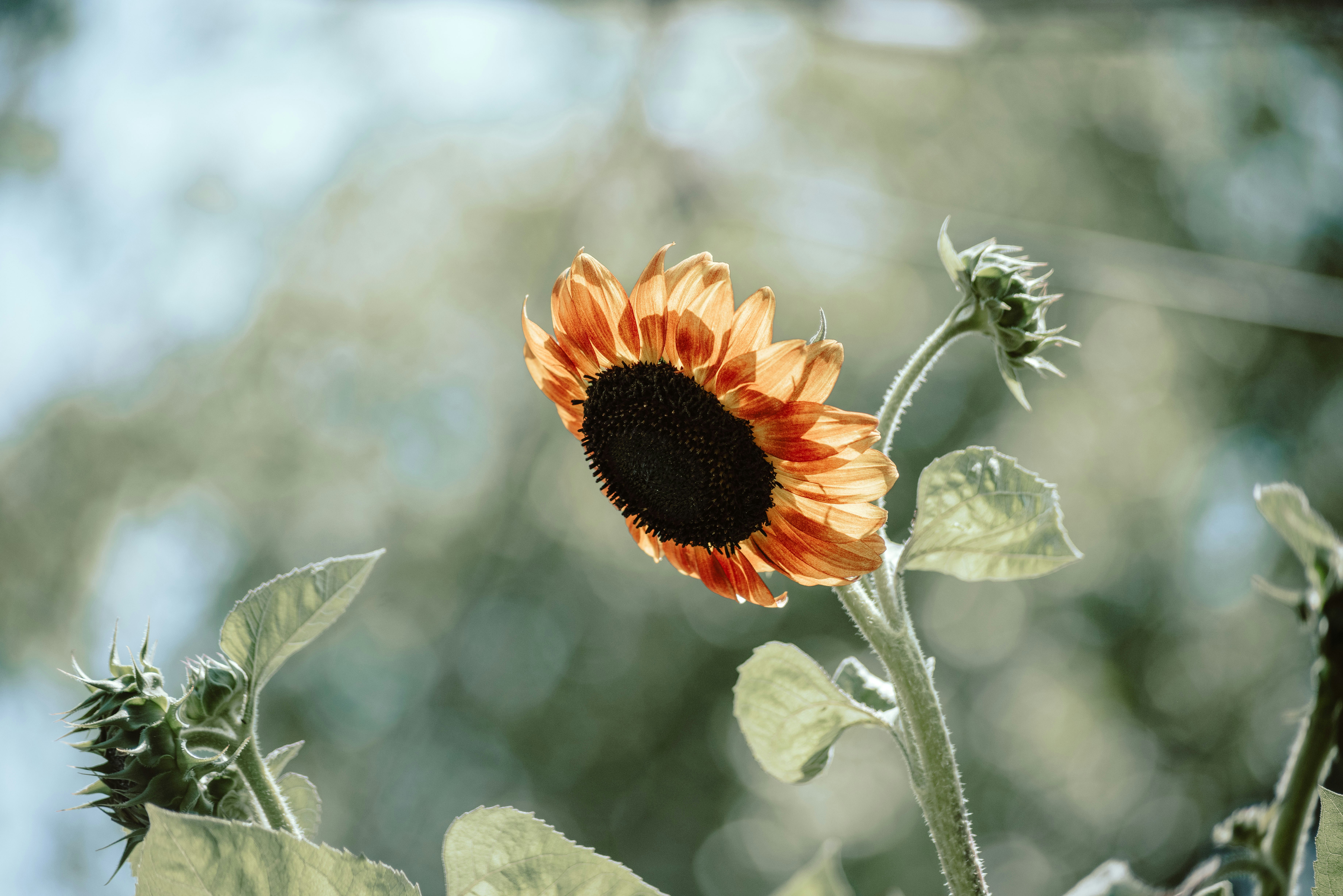 Photo by seitamaaphotography