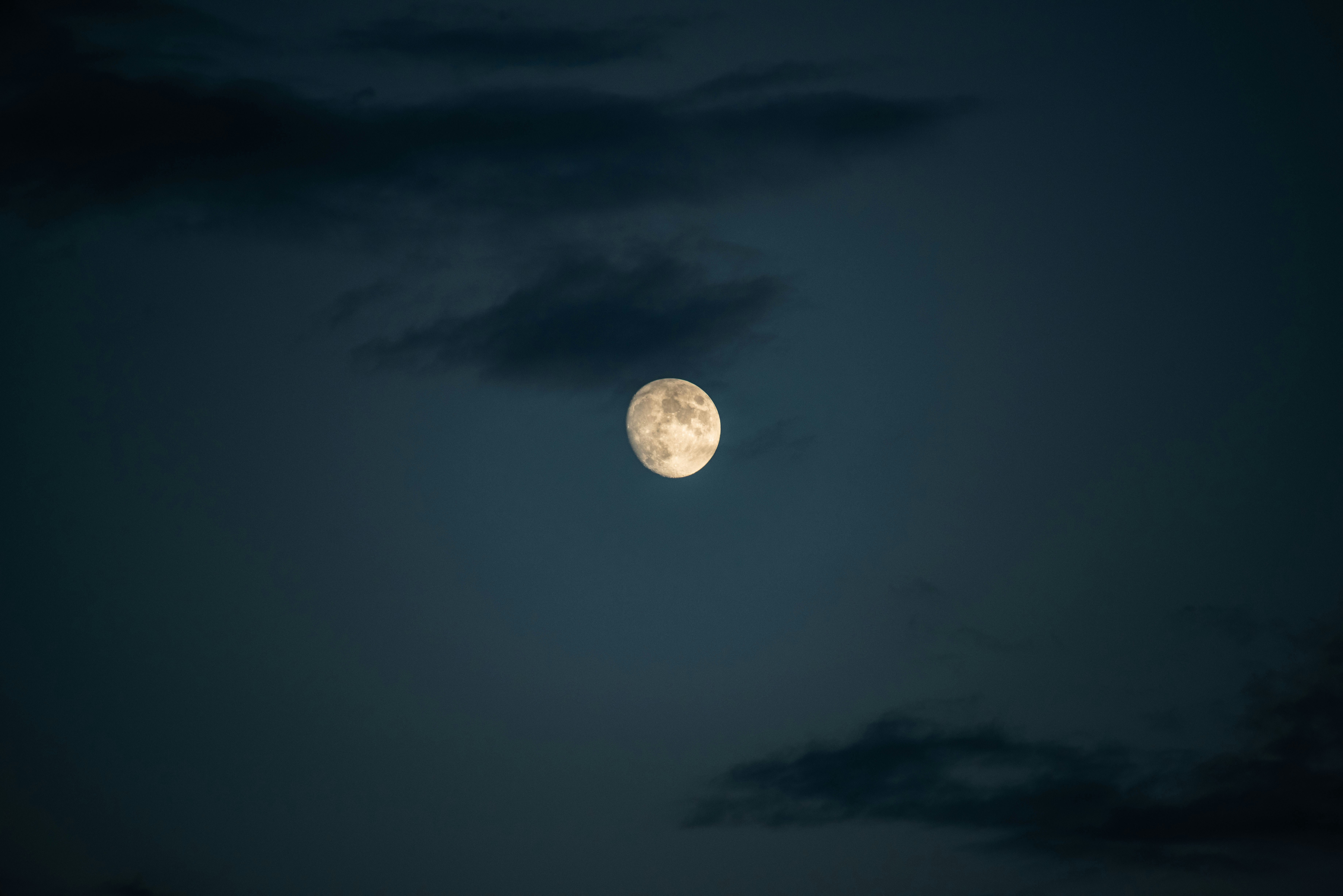 Photo by seitamaaphotography