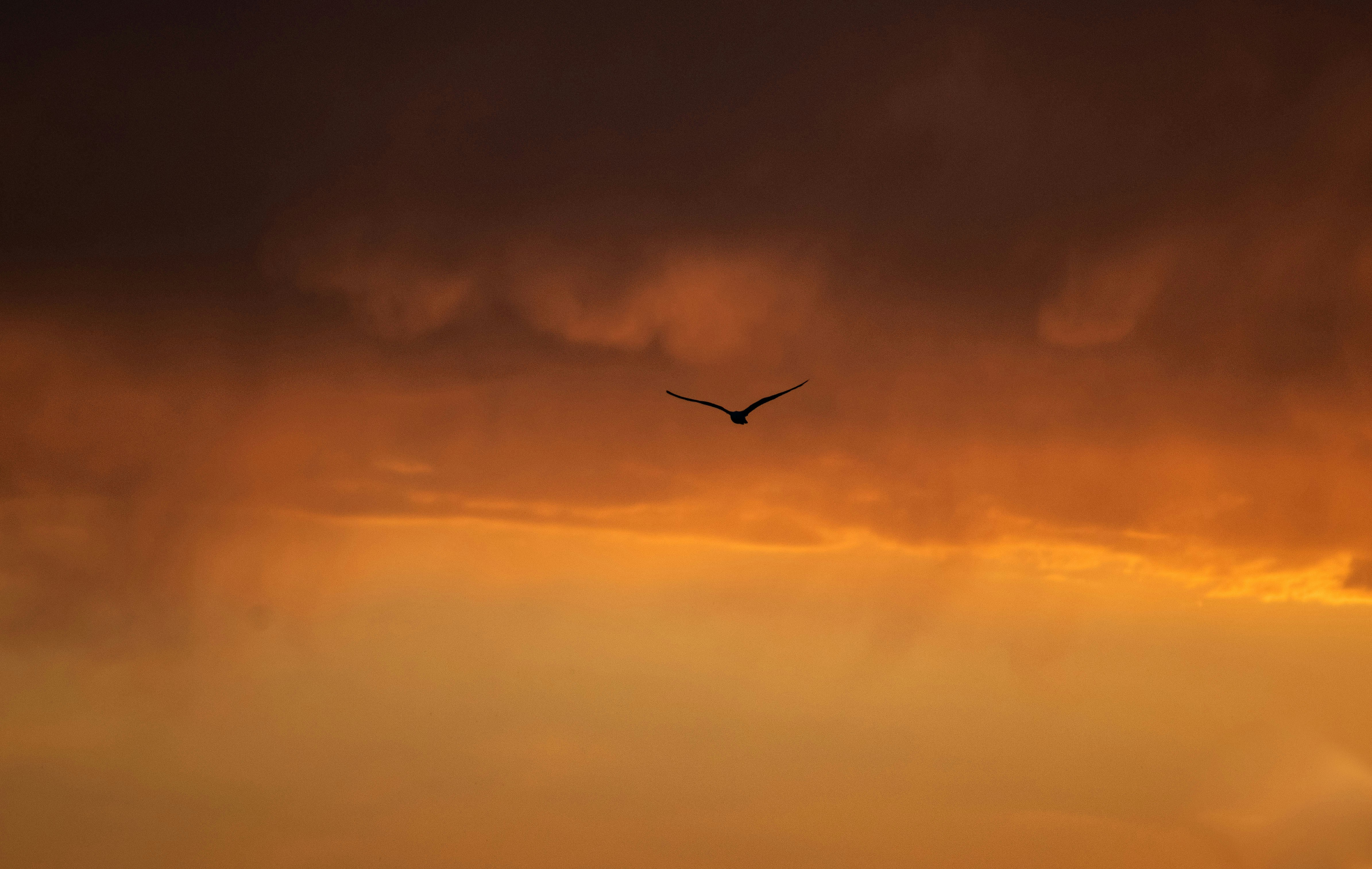 Photo by seitamaaphotography