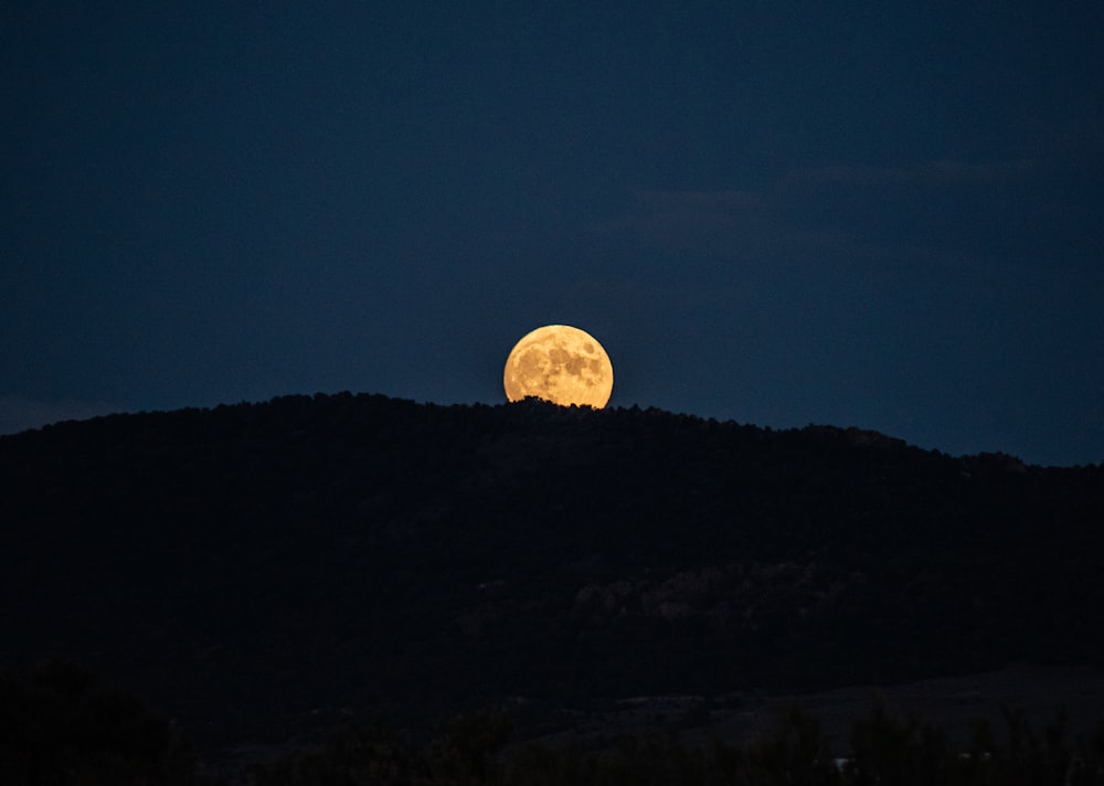 full moon over green trees