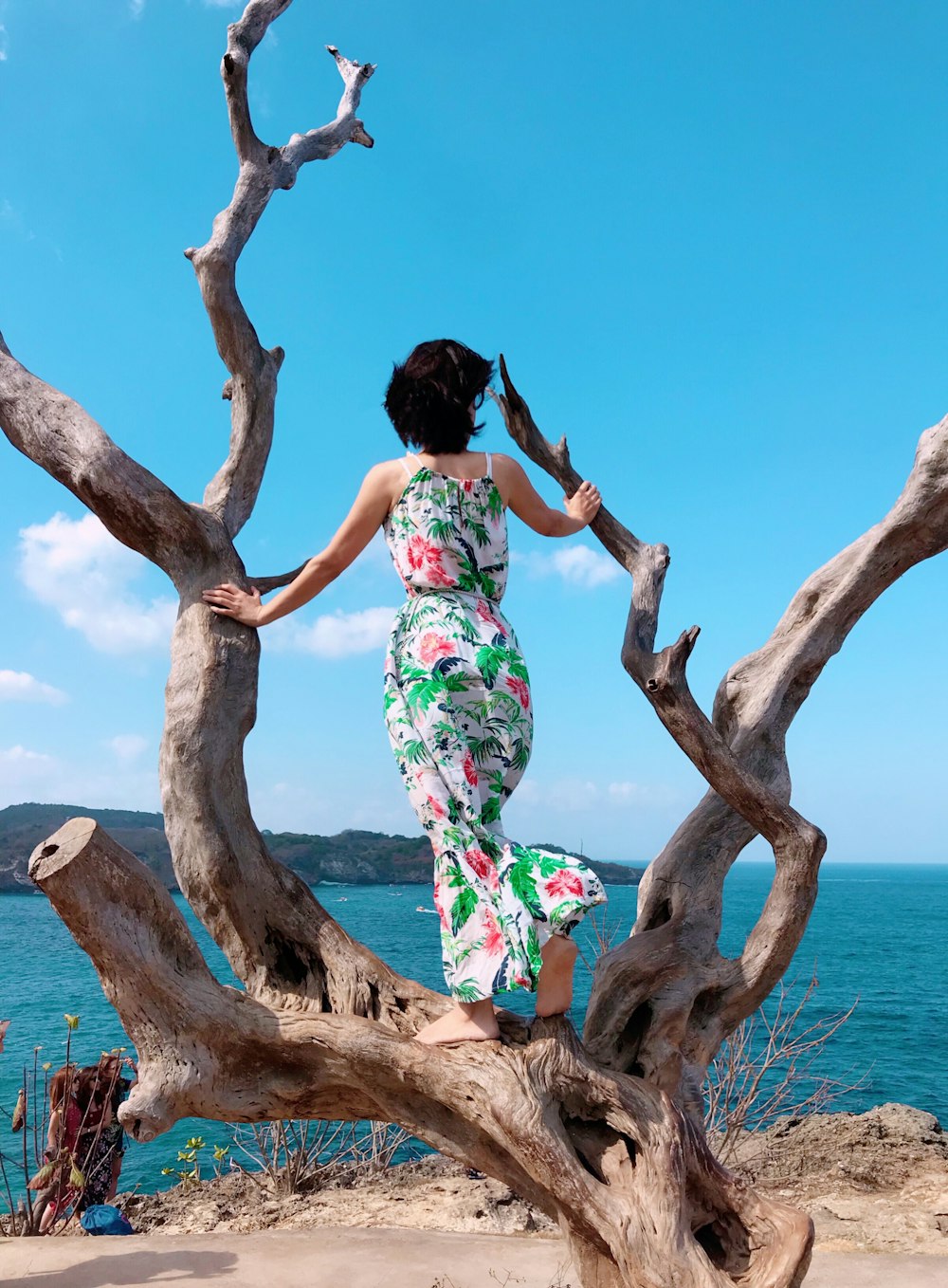 Mujer en vestido floral azul, verde y rojo sentada en el tronco de árbol marrón durante el día