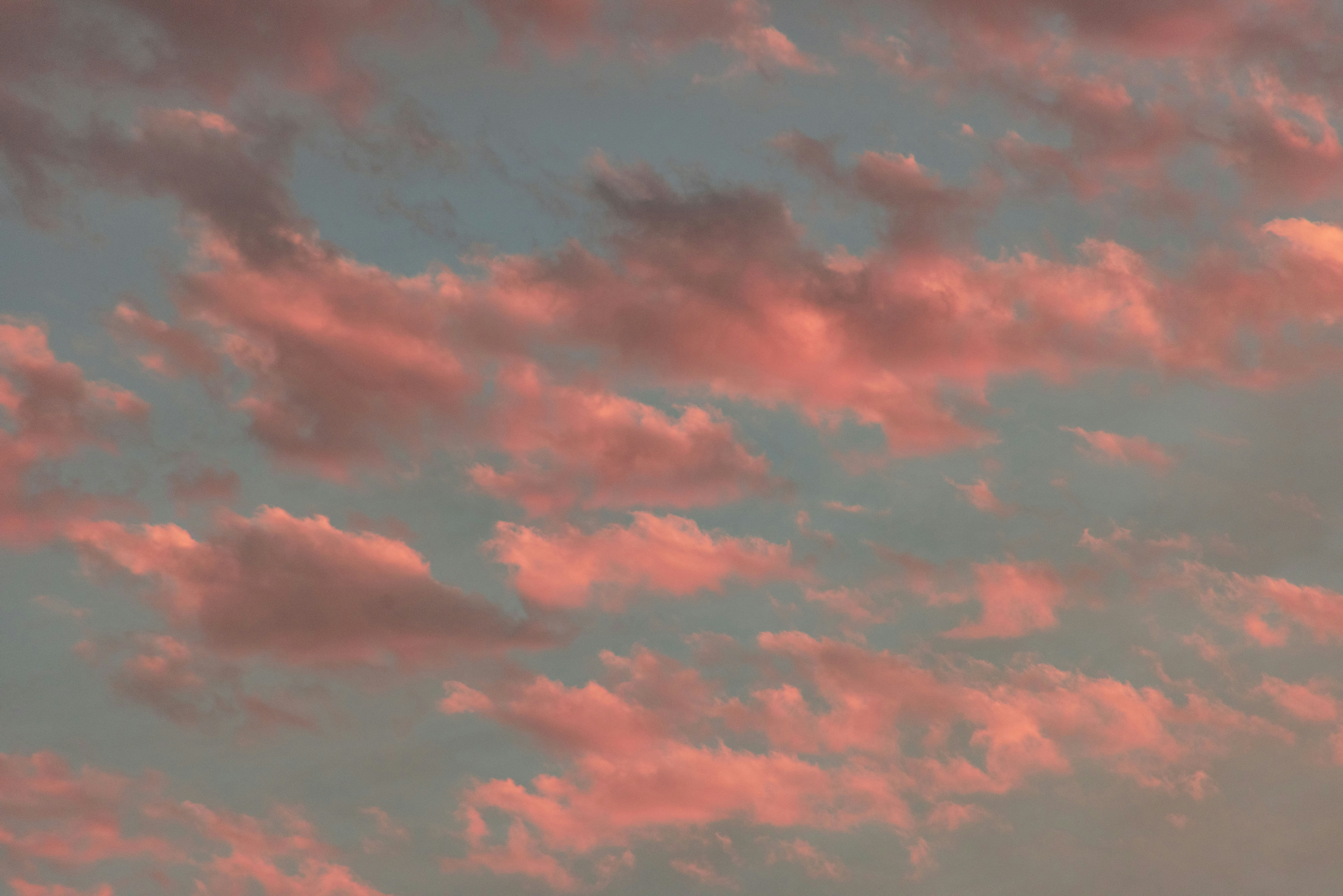 Photo by seitamaaphotography