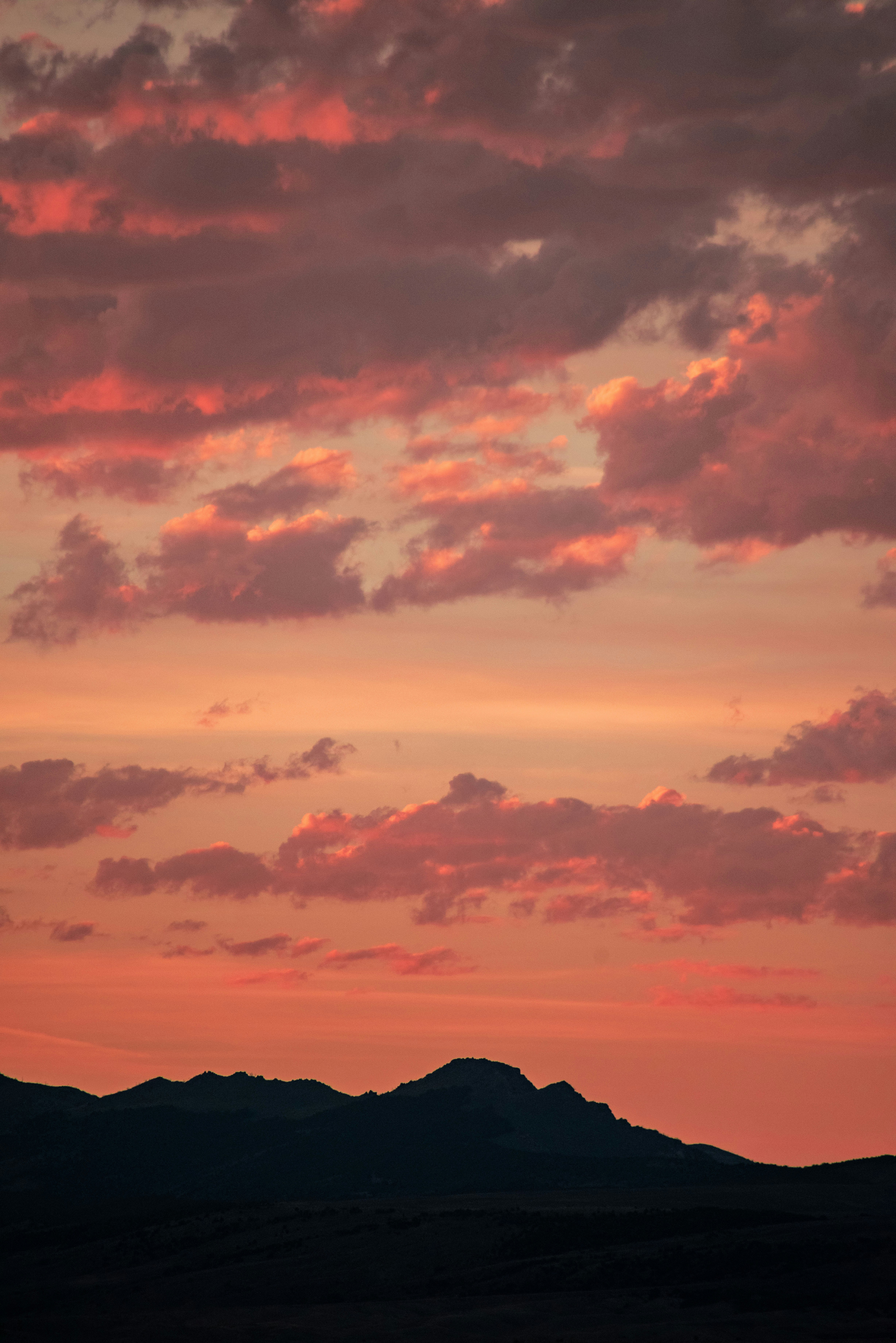 Photo by seitamaaphotography