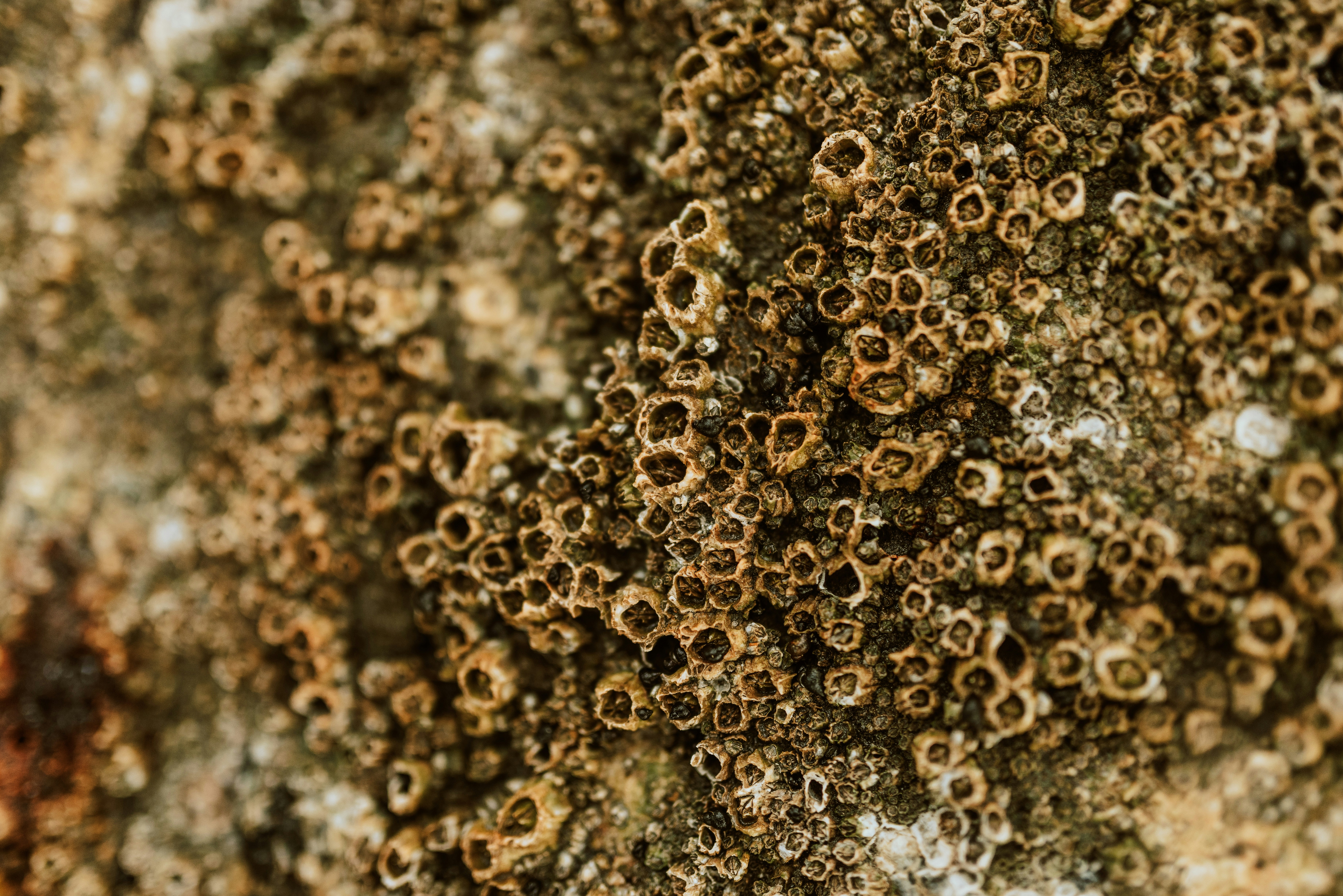 Photo by seitamaaphotography