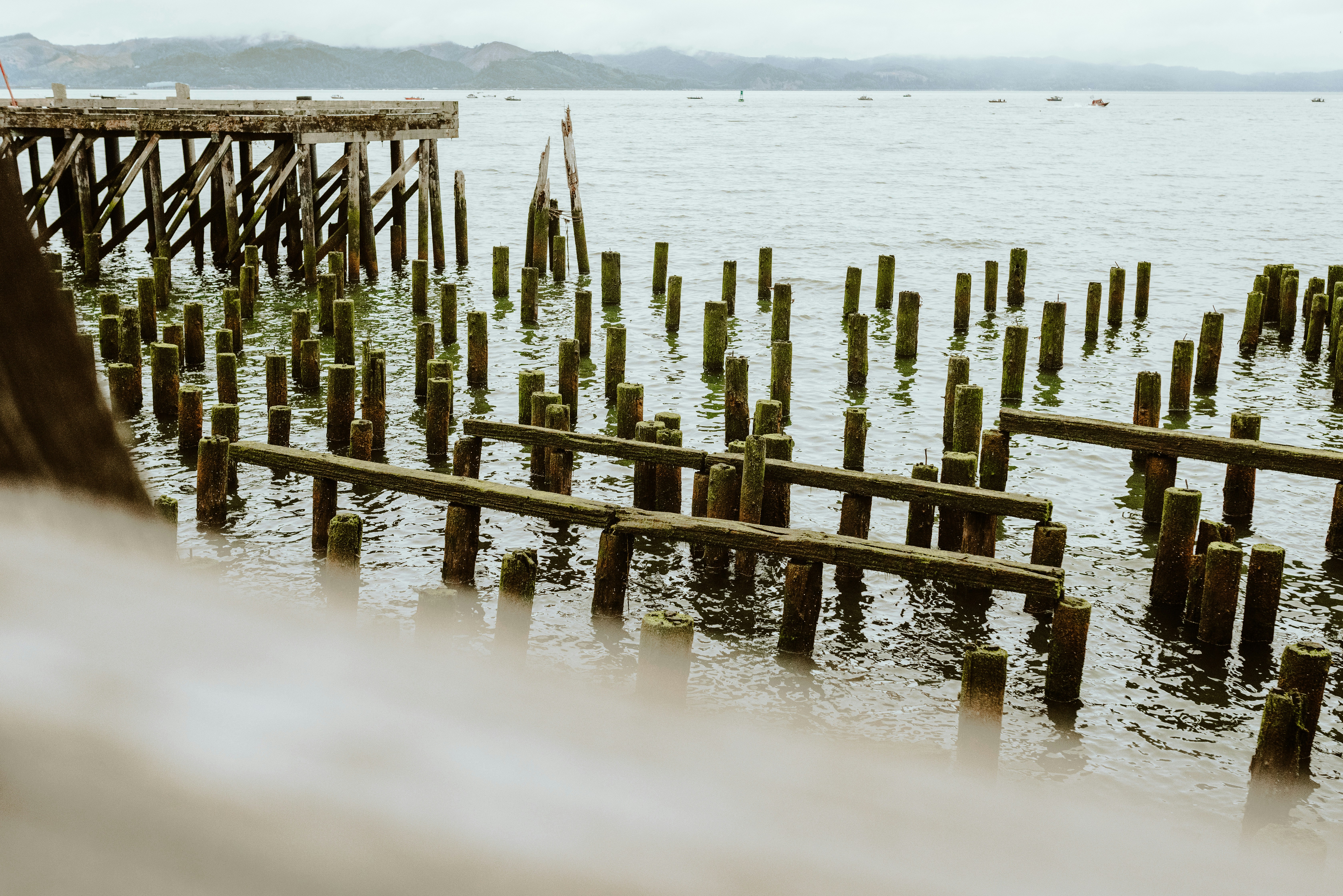 Photo by seitamaaphotography