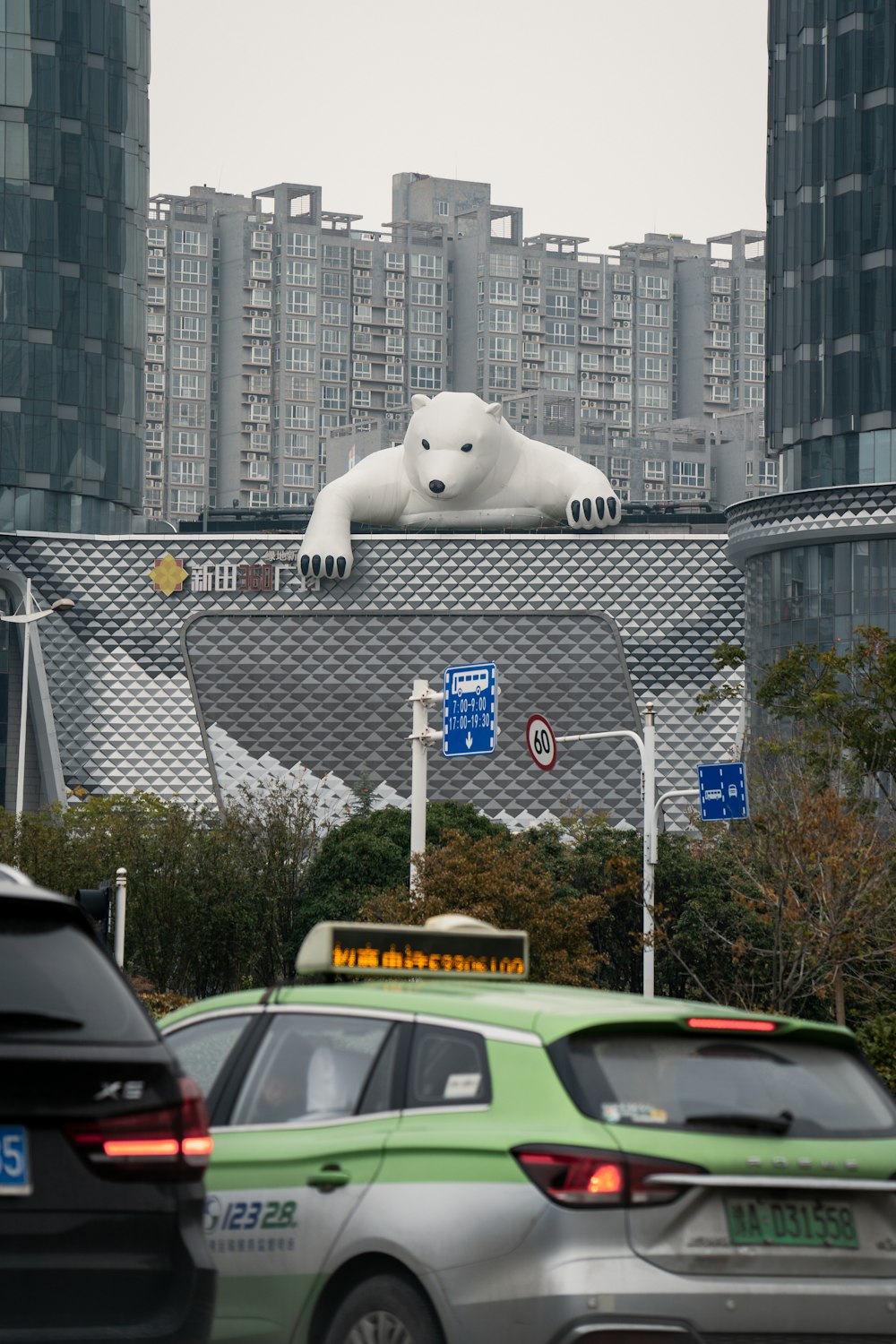 ours polaire blanc sur clôture en métal gris