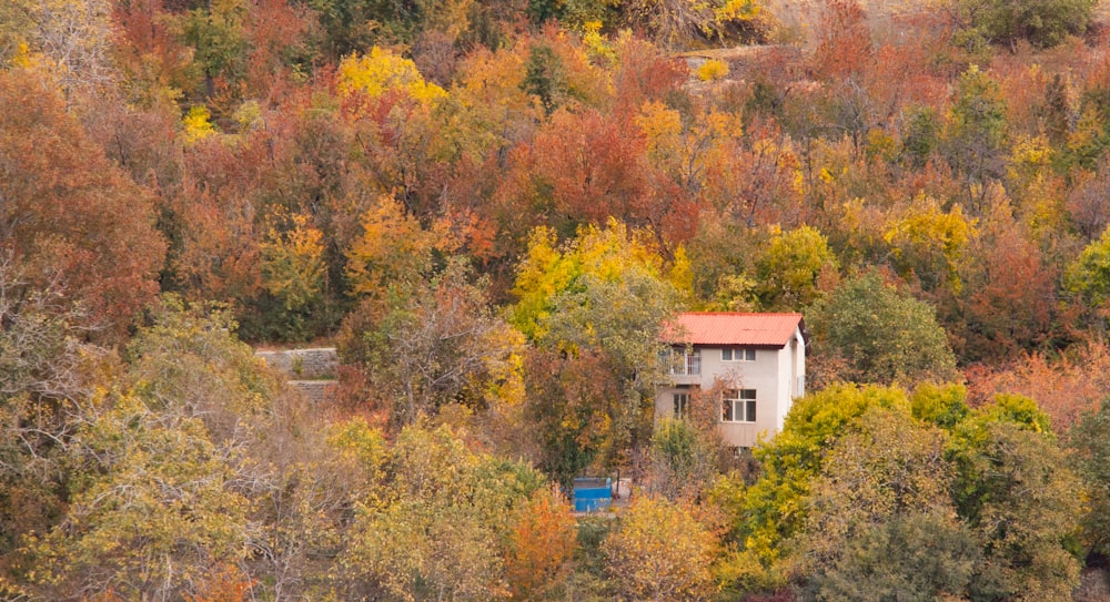 white and brown house surrounded by trees