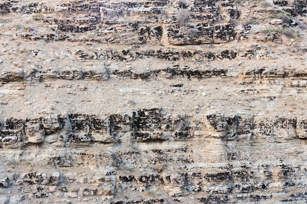 Mur en béton brun et gris