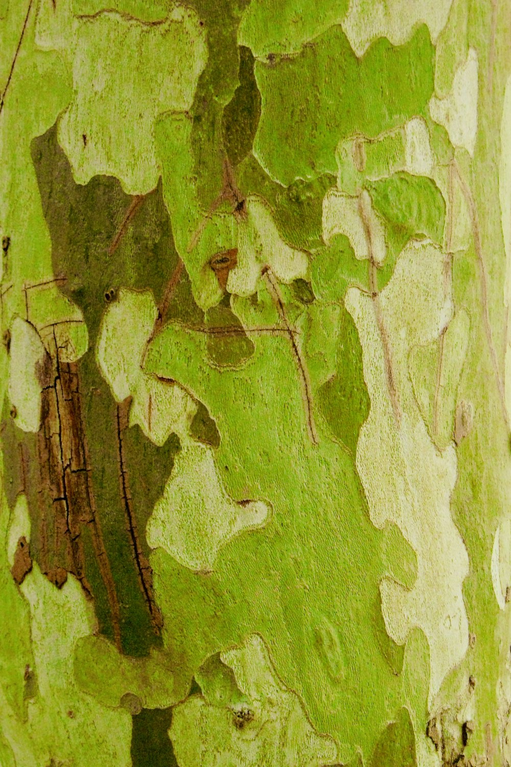 green and brown abstract painting