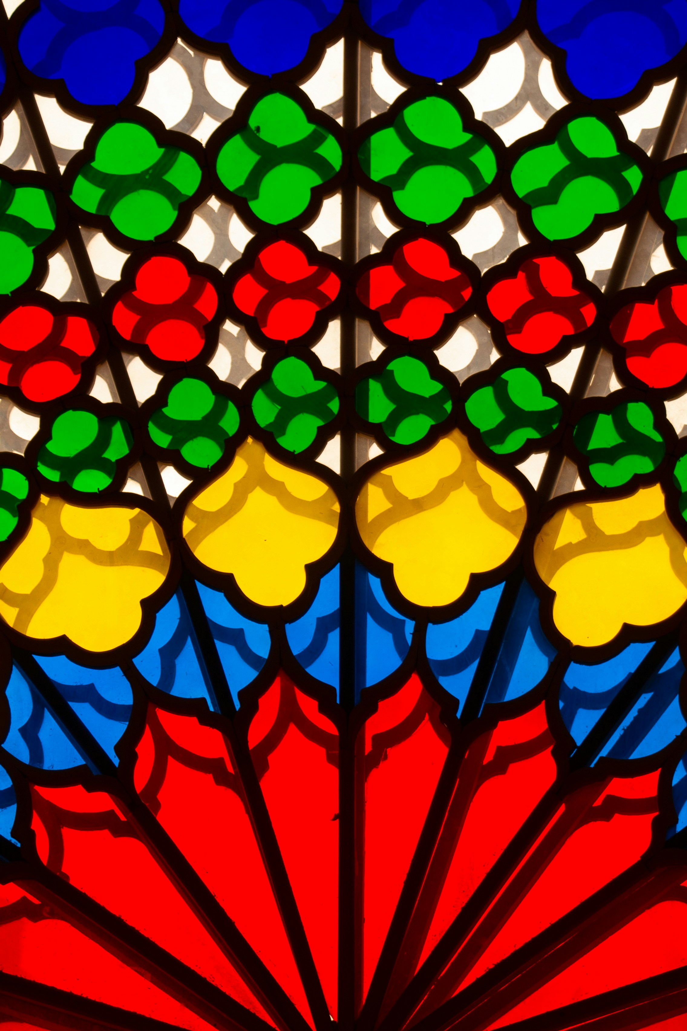 Photo by soroushzargar