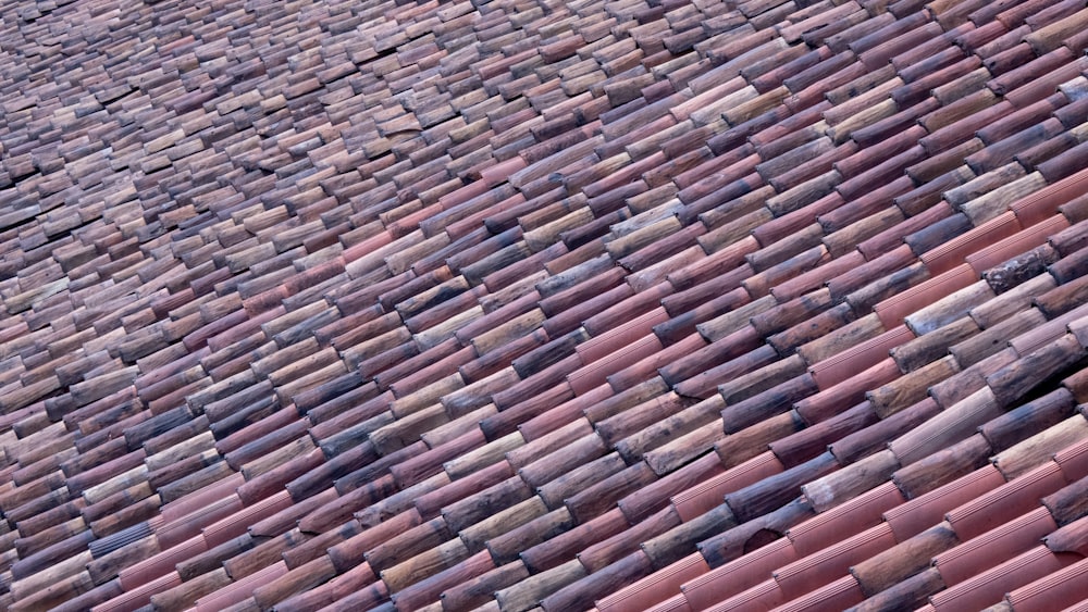 a bird sitting on top of a red roof