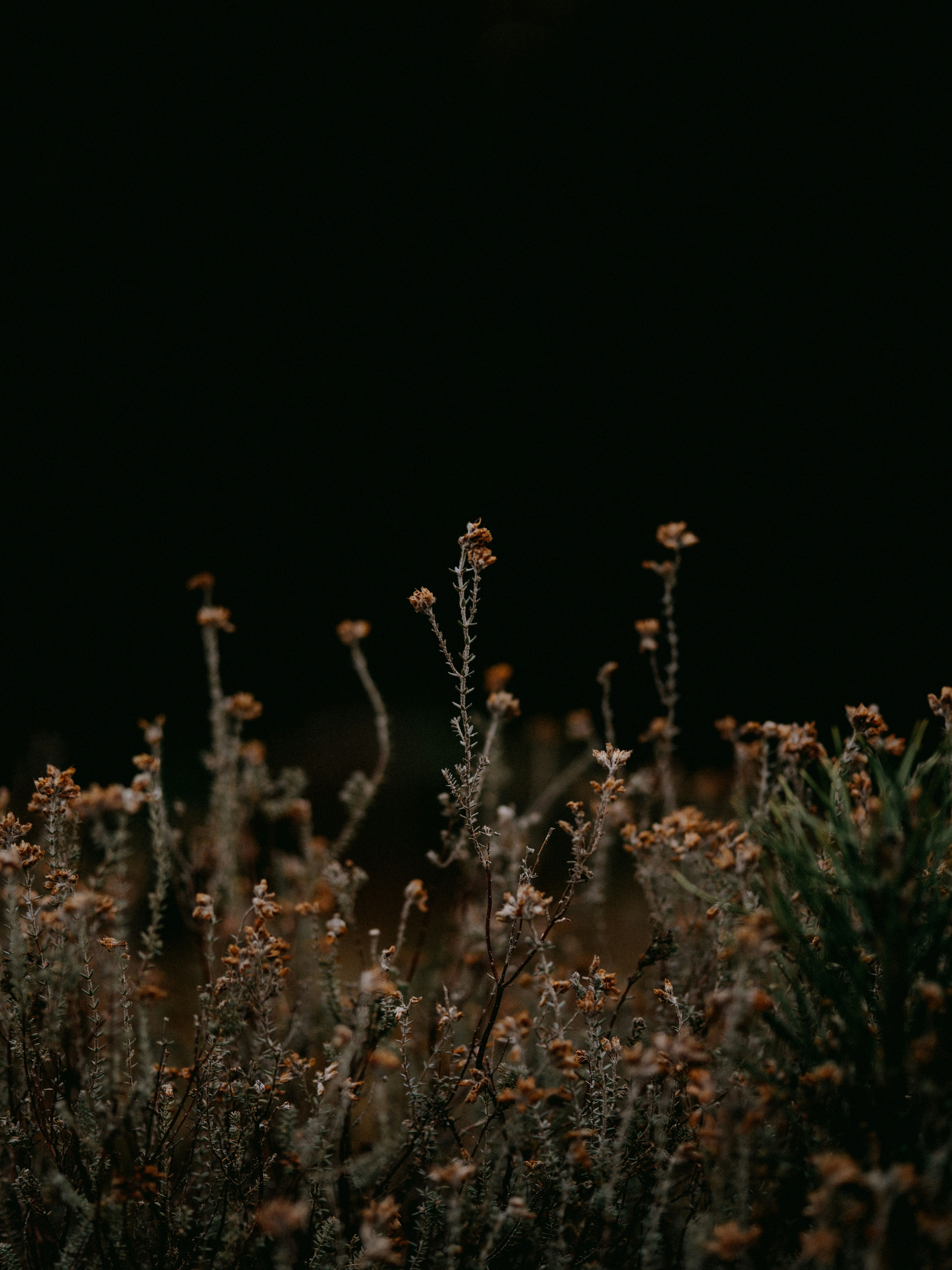 Photo by anniespratt