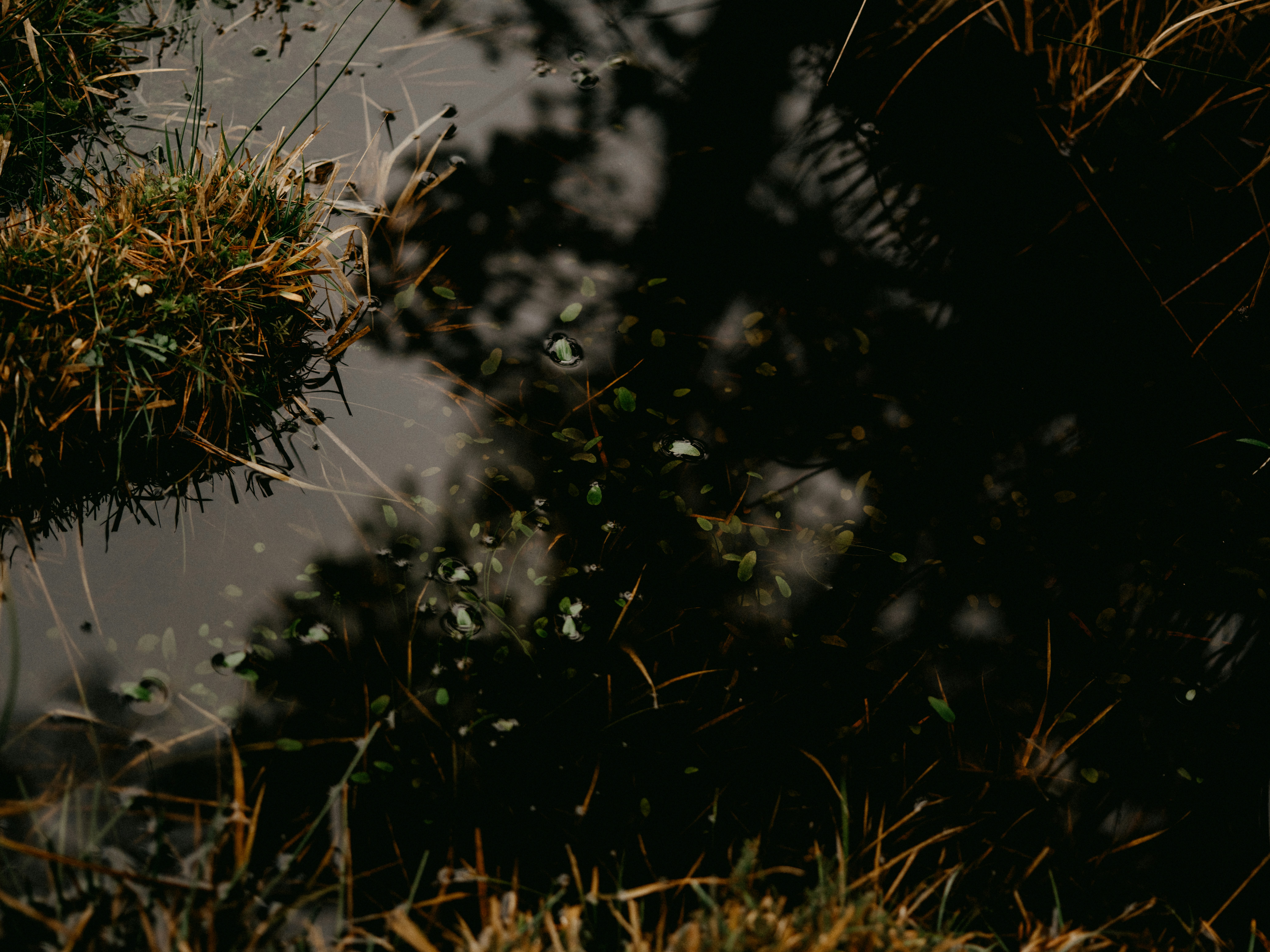 Photo by anniespratt