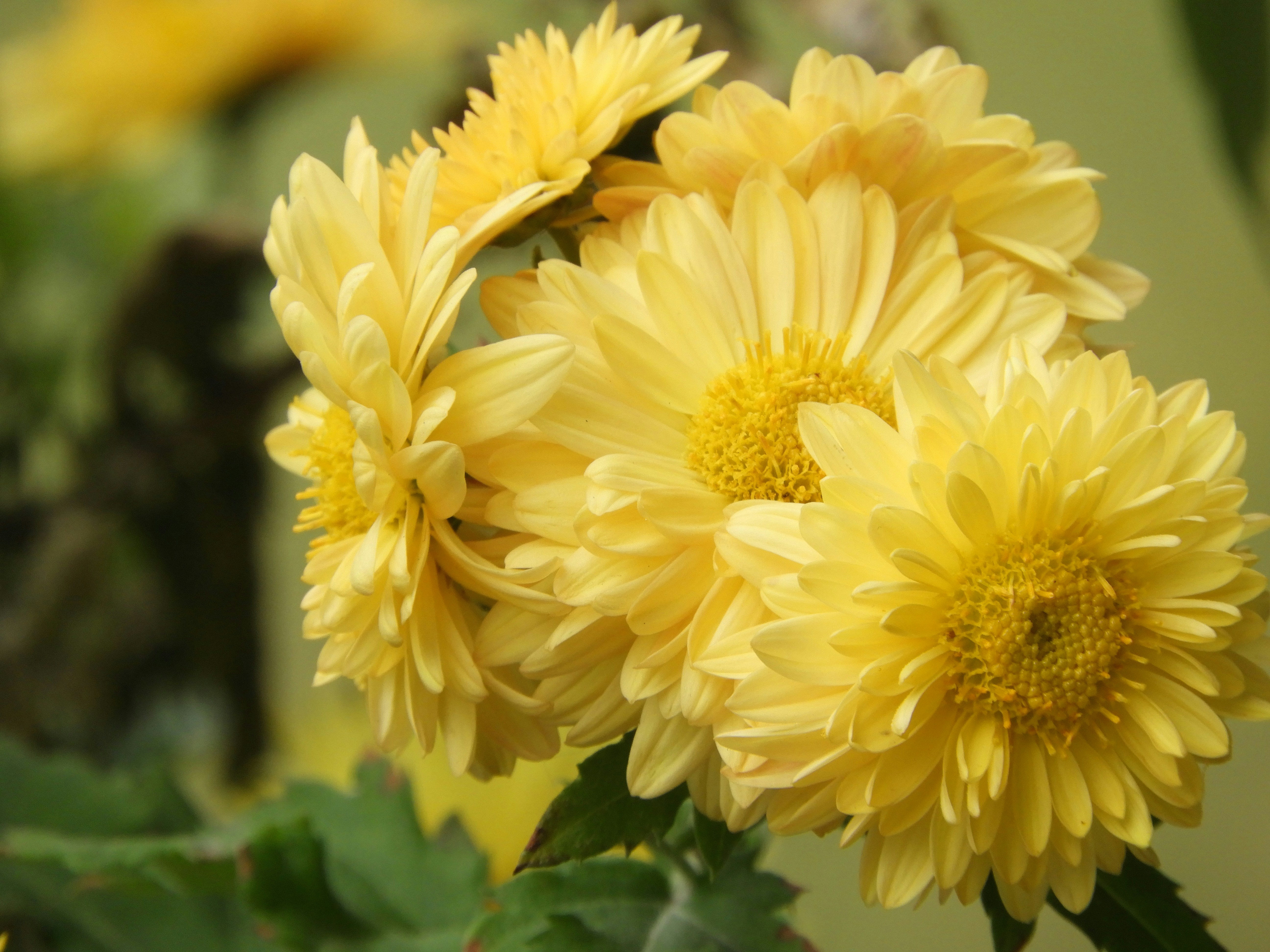 Photo by you_got_allured