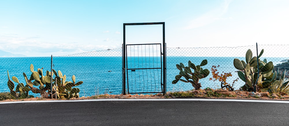 blue metal fence on gray concrete road