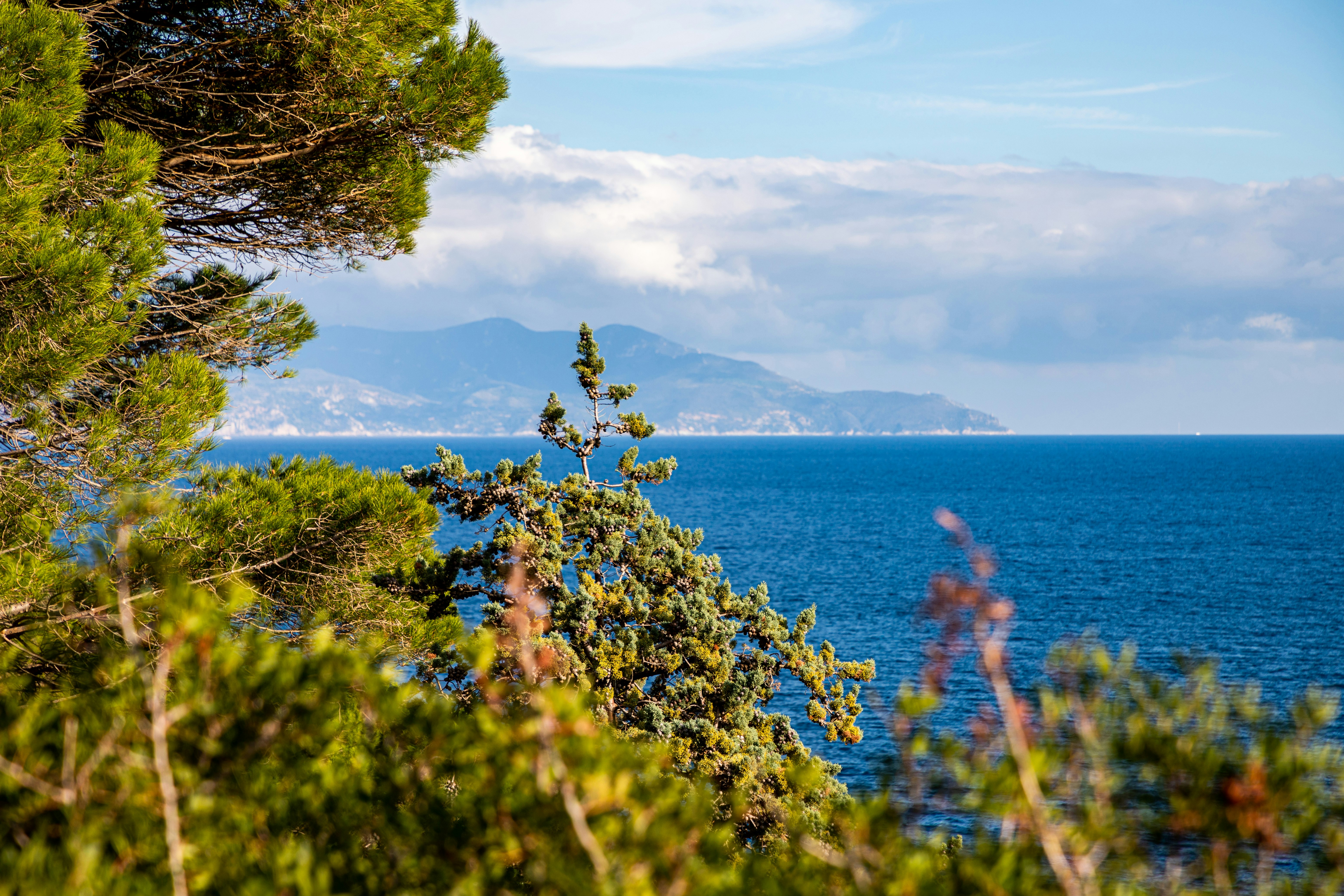 ∙ silver coast pano ∙