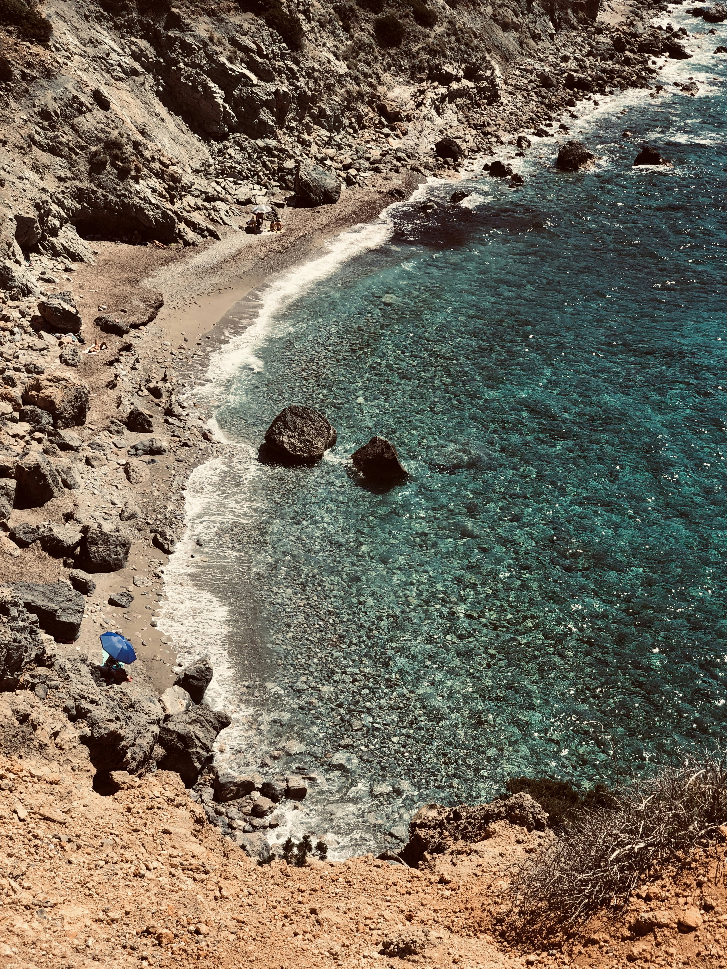 ∙ sea life ∙