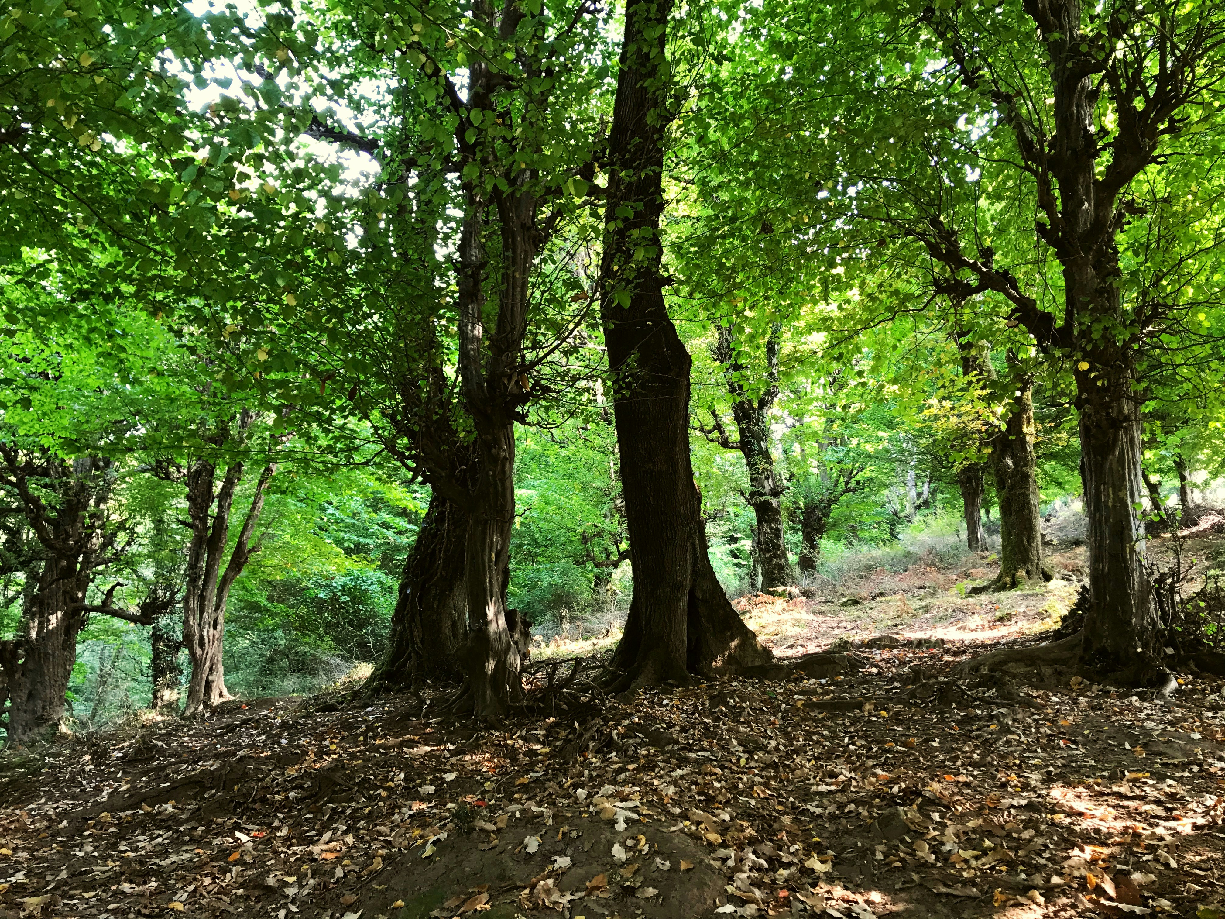 Photo by fatemehalizadeh_