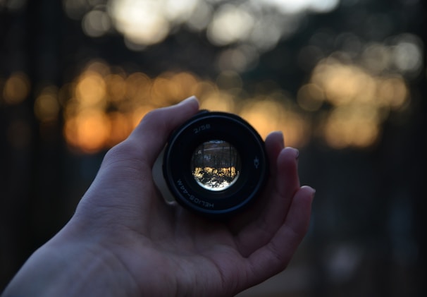 Close-up of a camera lens reflecting a vibrant outdoor scene with trees and sunlight.