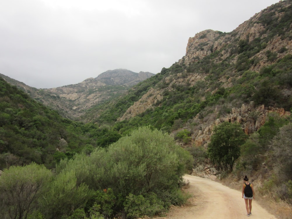 person walking on pathway between green trees and mountain during daytime