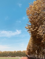 A wide-angle view of a local sports field with players practicing, framed by a clear blue sky.
