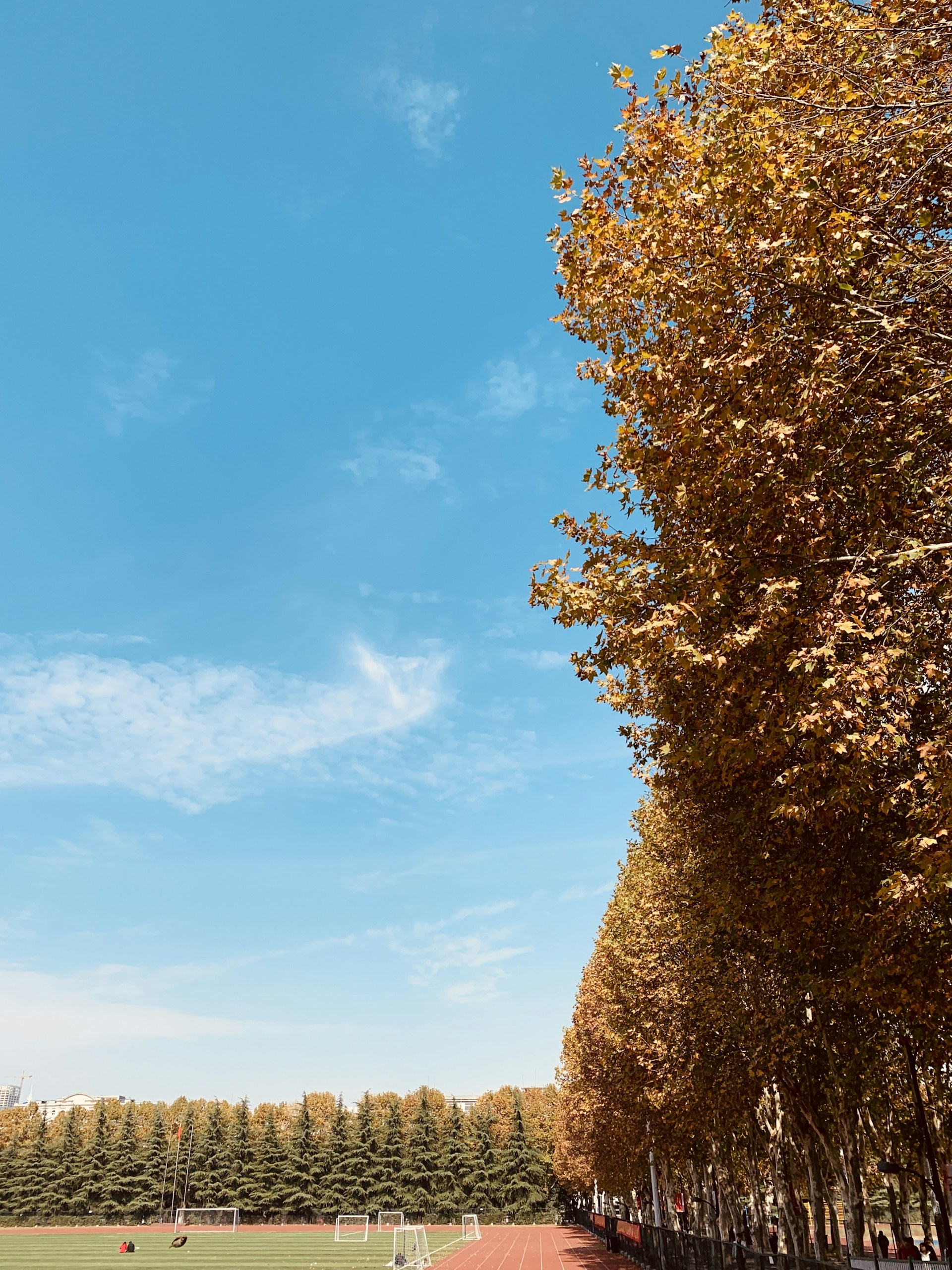woman wearing yellow long-sleeved dress under white clouds and blue sky during daytime