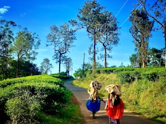 people walking on pathway between green grass field during daytime