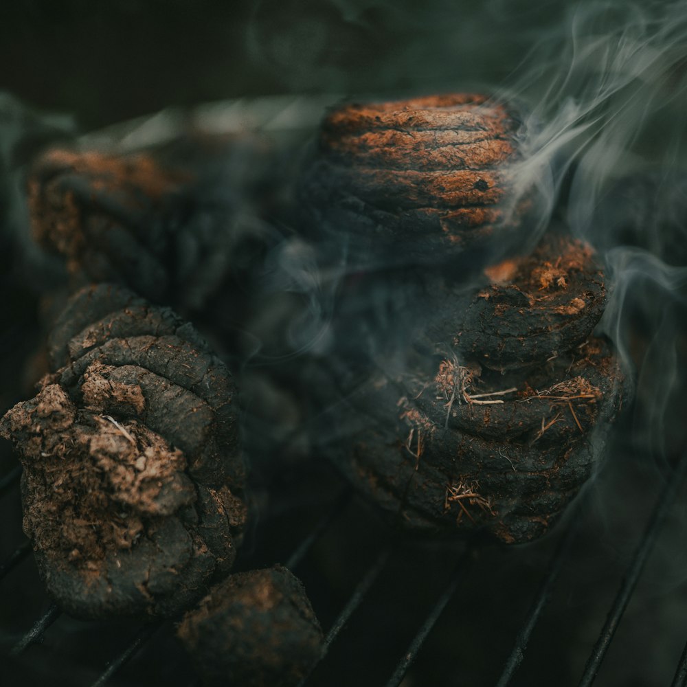 brown pine cones on charcoal grill