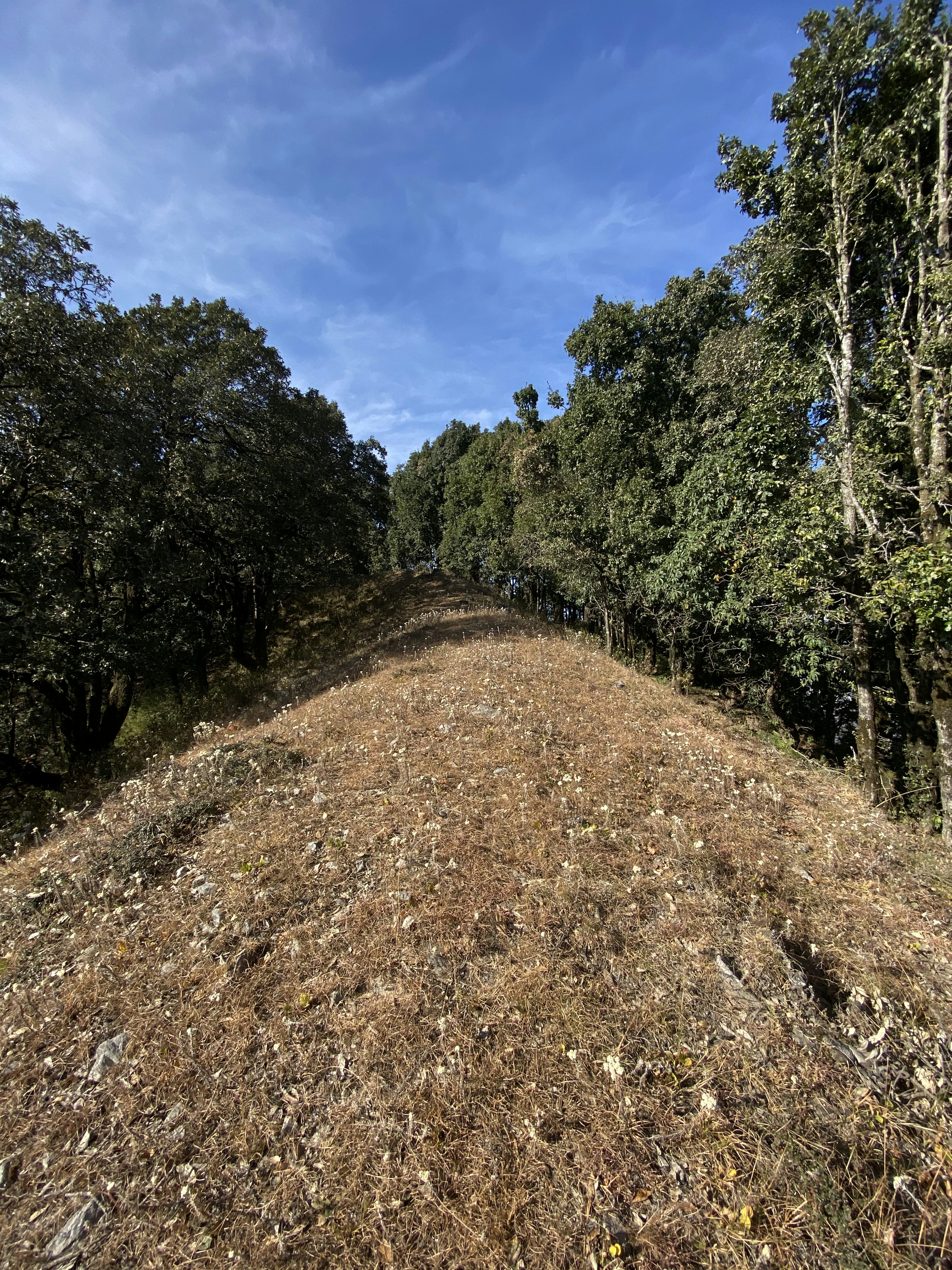 Photo by arjun_kapoor