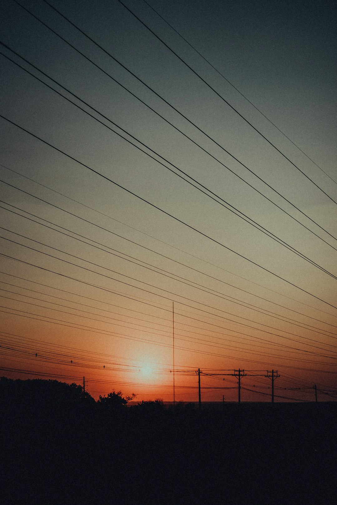 silhouette of trees during sunset