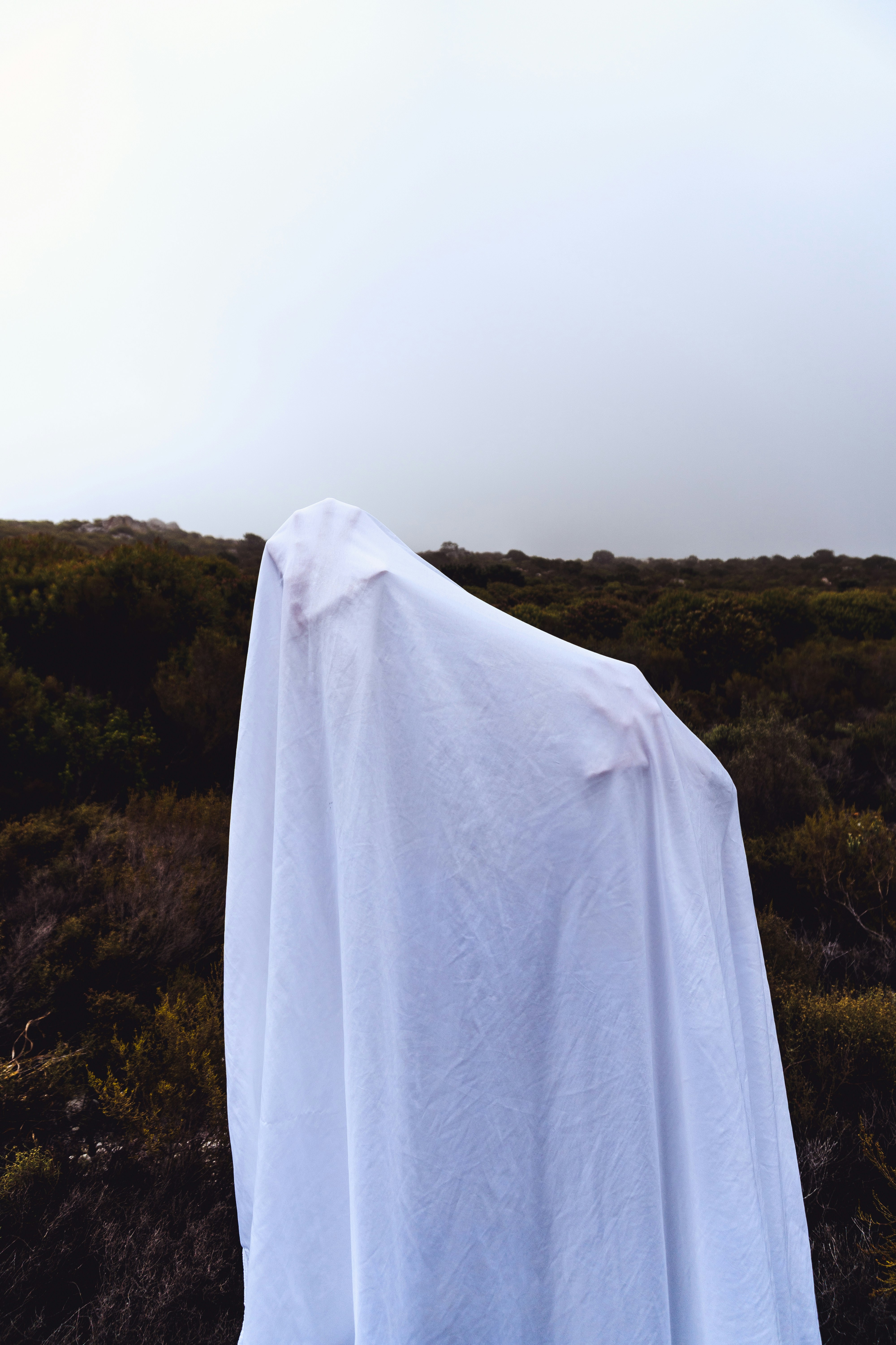 Photo by stephenjamesrheeder