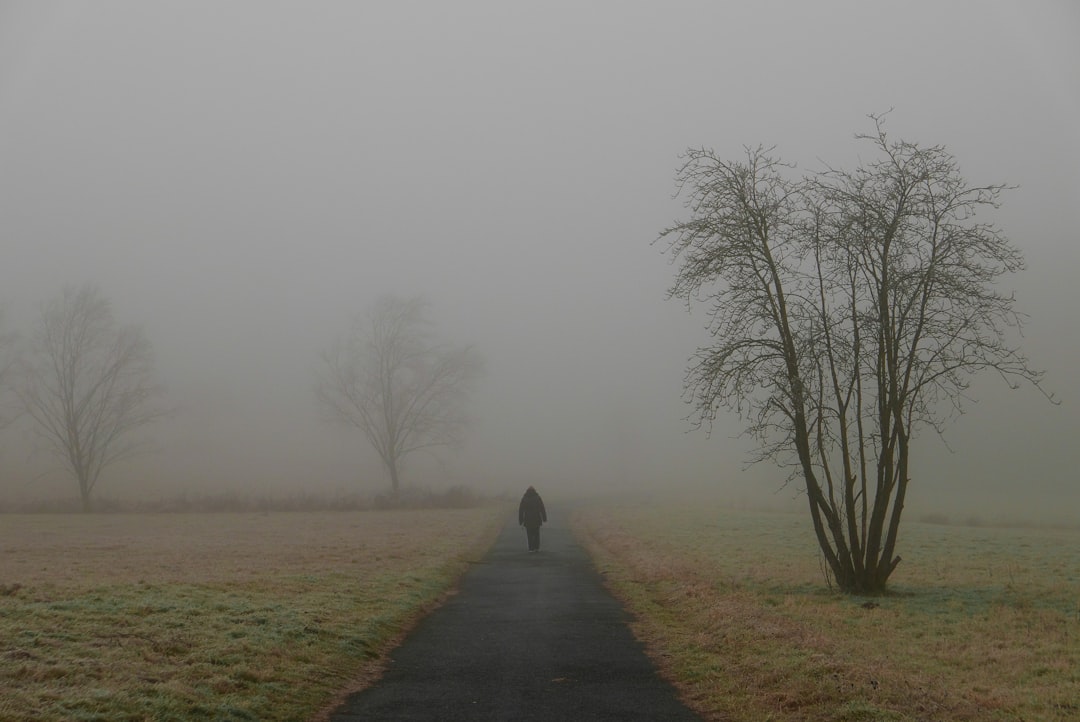 person in black jacket walking on pathway between bare trees