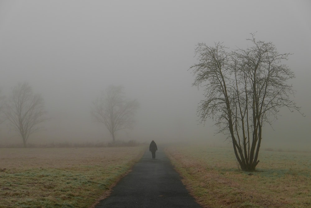 person in black jacket walking on pathway between bare trees