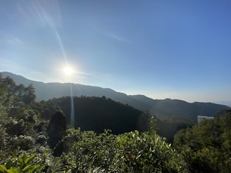 A scenic view of the sunrise over Mount Bromo with lush greenery in the foreground.