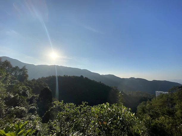 A scenic view of a lush green mountain landscape at sunrise.