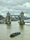 white and blue boat on body of water near bridge during daytime