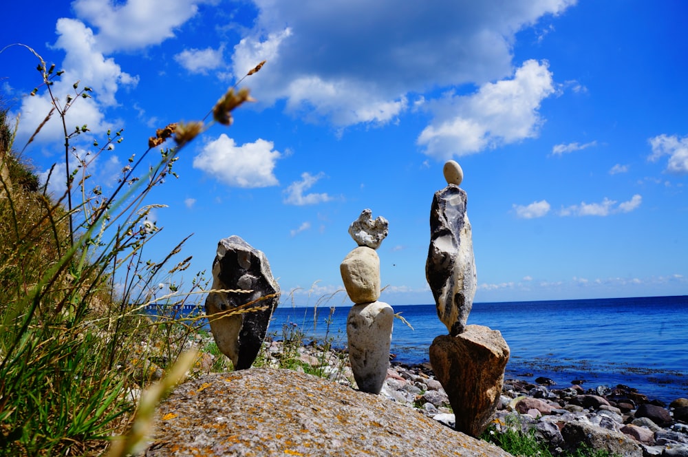 gray stone on brown wooden stand near body of water during daytime