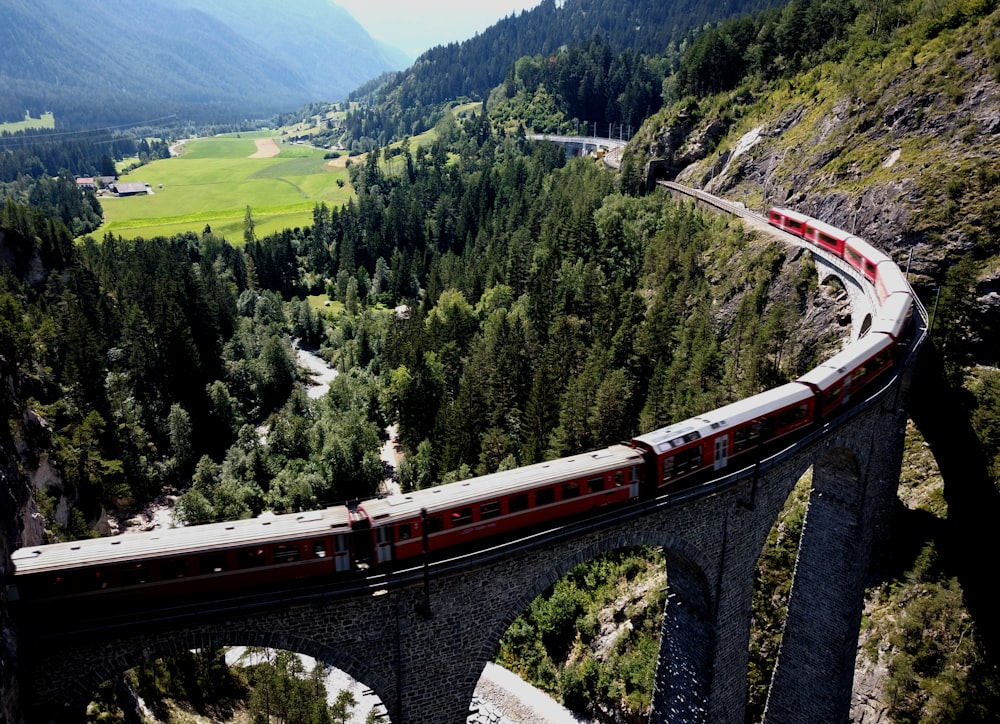 red and white train on rail tracks