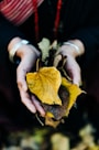 Hands gently releasing autumn leaves into the wind, representing letting go.