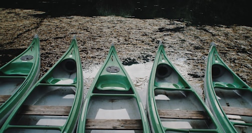 Five green canoes are aligned side by side on the edge of a body of water, likely a lake or river. The water surface is covered with brownish reeds or aquatic plants, creating a textured appearance.