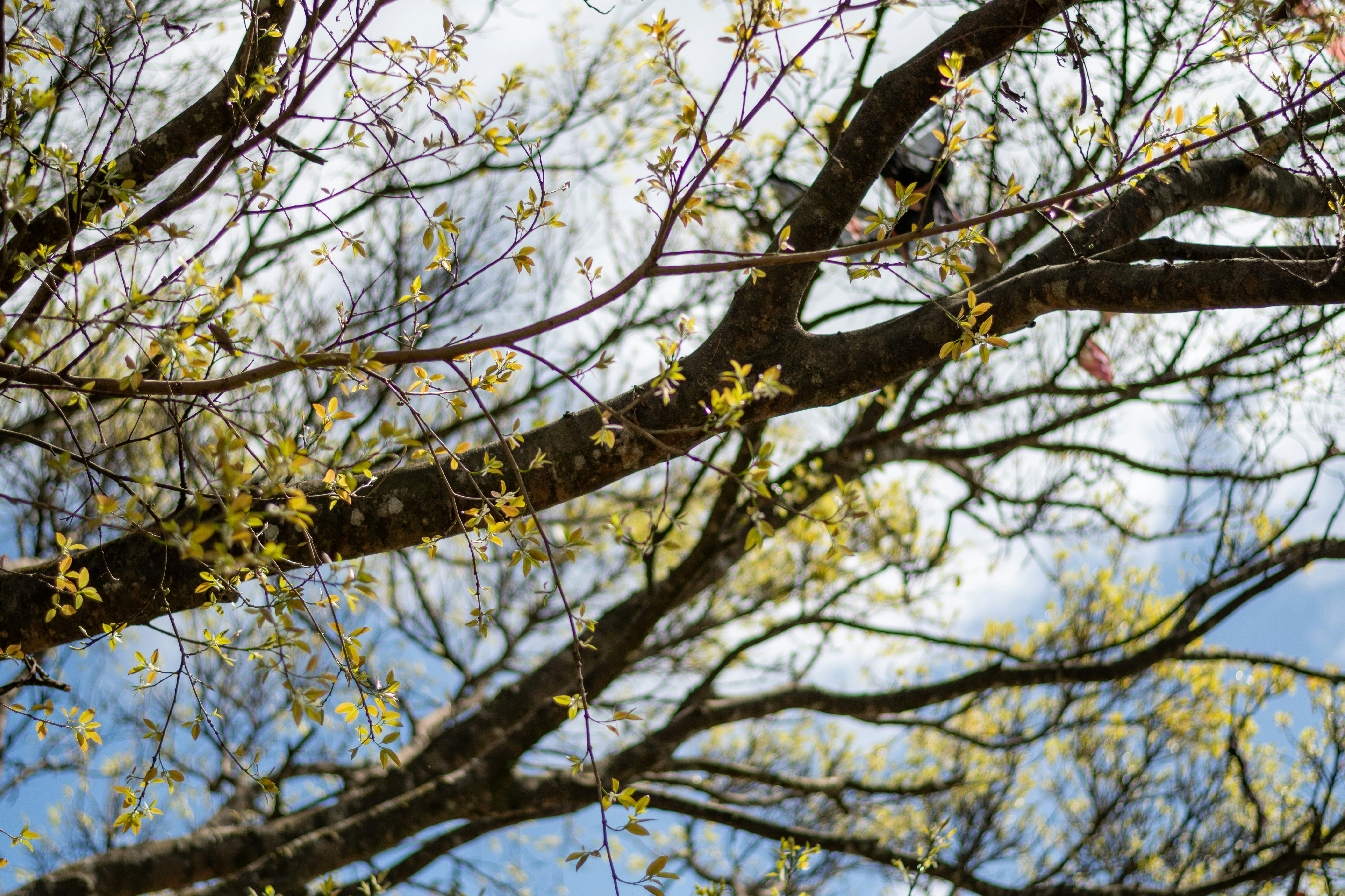 Photo by glennvillas